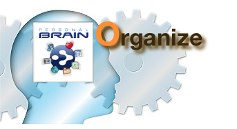 organize